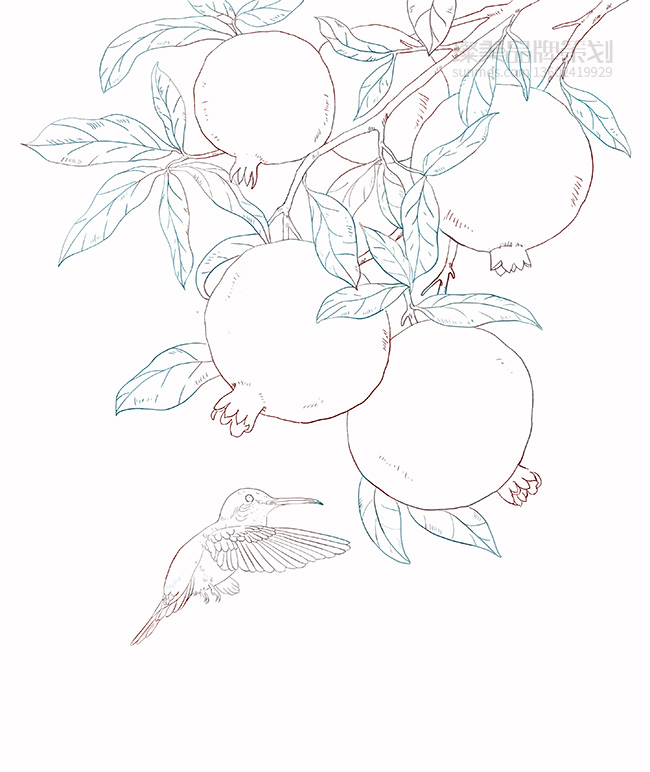 優粹護膚植物國潮風手繪線稿圖